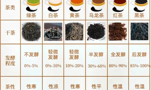 身上很多肉瘤是什么病-身上多处有肉瘤网身上长的肉瘤怎么能去除知识网站,分享身上长肉瘤怎么办能消除大全